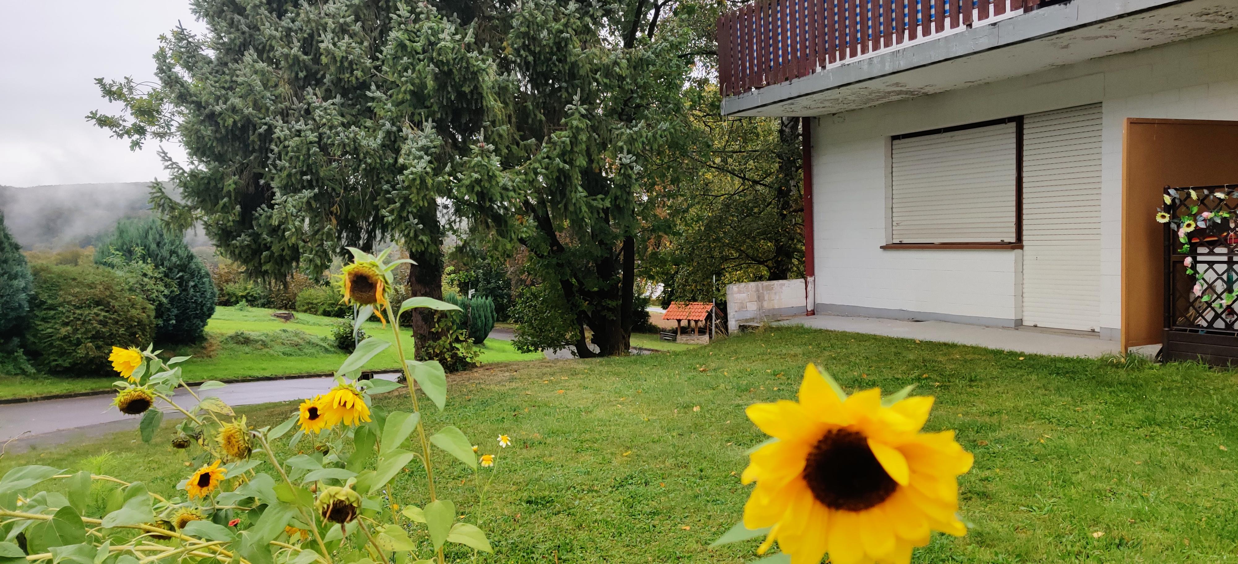 Außenansicht Garten und Terrasse